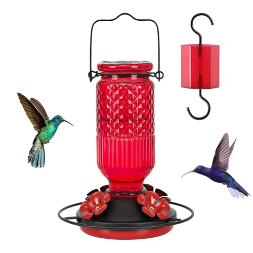 Best Hummingbird Feeder